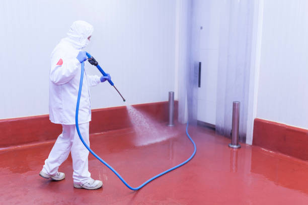 Reliable Dallas, GA Pressure Washing Services Solutions
